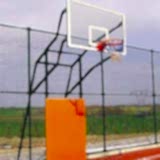 Basket Potası 12