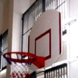Basket Potası 26