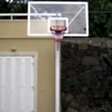 Basket Potası 9
