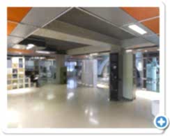 Mağaza Showroom Dekorasyon / Tadilat