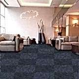 Concorde 503